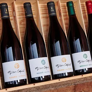  Bed & Breakfast Domaine Gilles Coperet- Artisan-vigneron- D'hotes Les Glycines - France